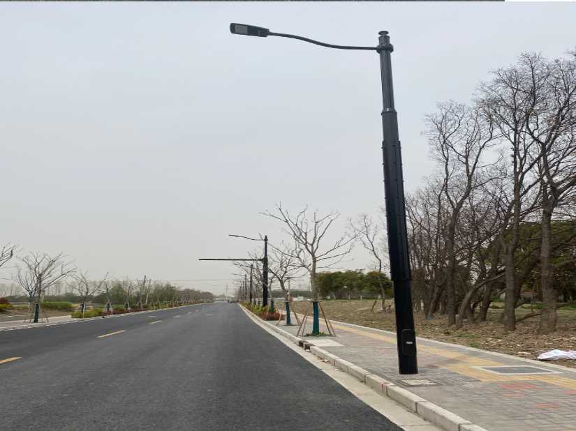 凤山县上海综合杆 太阳能路灯工程